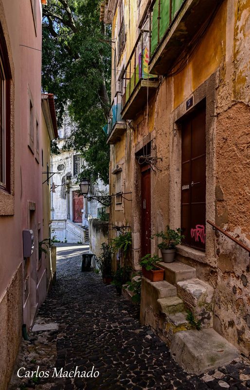 Street, Reportage, Old City Streets of Lisboaphoto preview