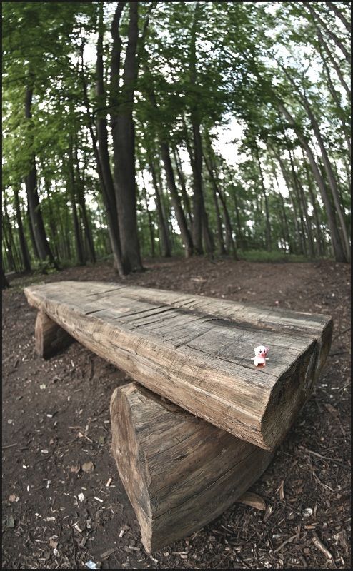 Потеряшкаphoto preview