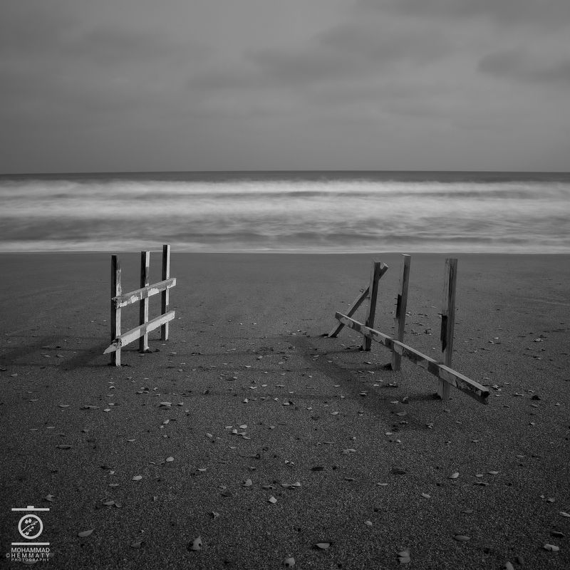 Beach , leafsphoto preview