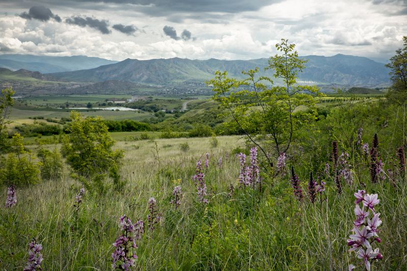 Просторы Грузии фото превью