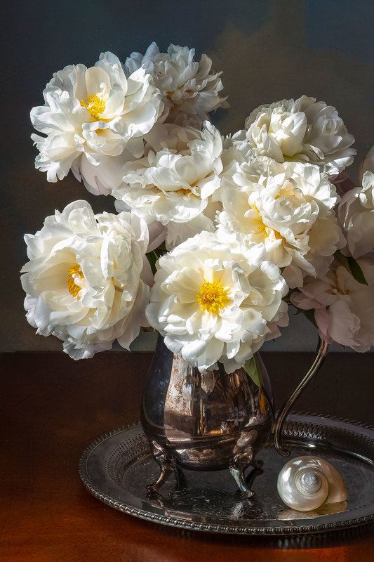 White Bloomsphoto preview