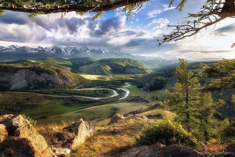 Чуйские мендрыphoto preview