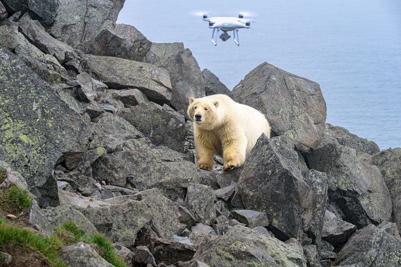 Это «ж-ж-ж» — неспроста!photo preview