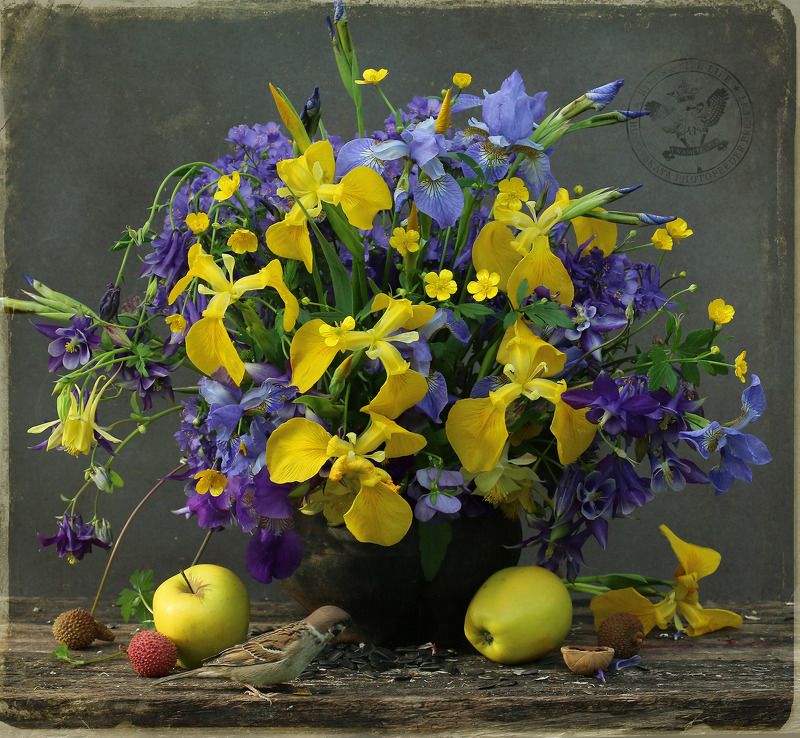 Лютики, касатики и др.photo preview