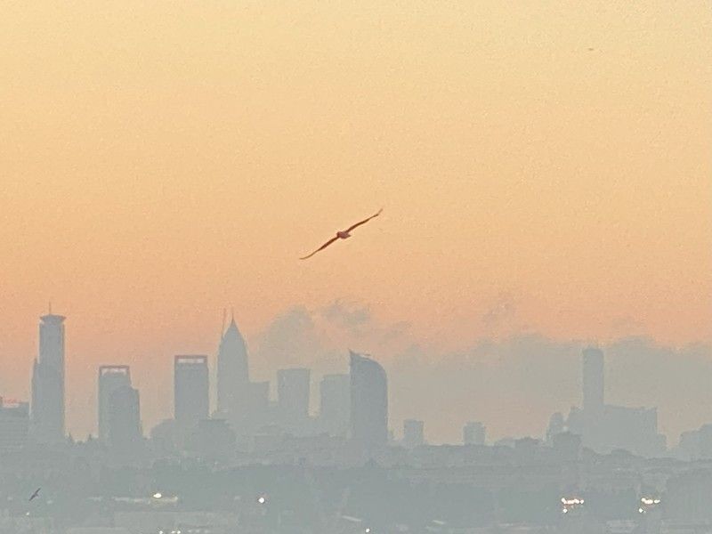 Перспектива у воды Утро в Стамбулеphoto preview