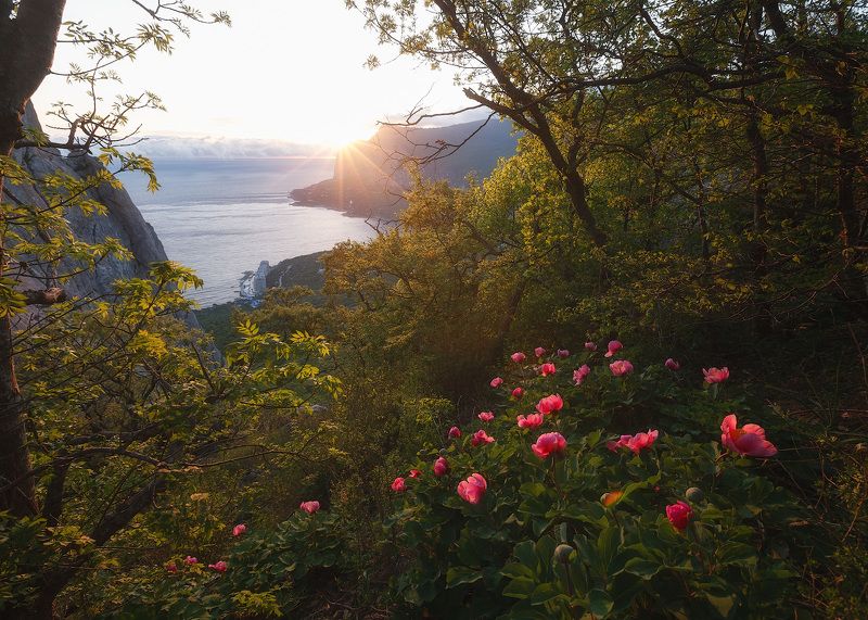 крым, горы, море, весна. Солнышко лучистое улыбнулось весело! фото превью