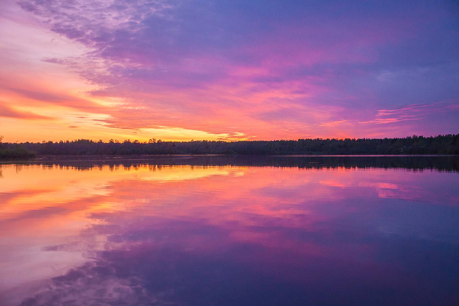, Напалкин Станислав