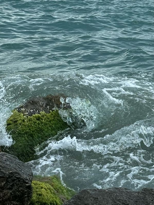 Мореphoto preview