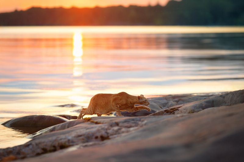 На закатеphoto preview