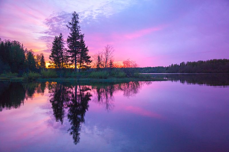 Бобриный островphoto preview