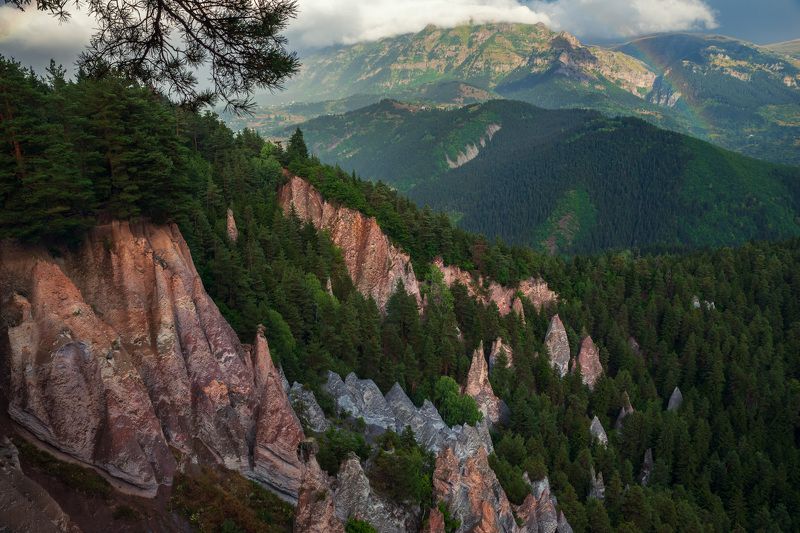 После дождяphoto preview