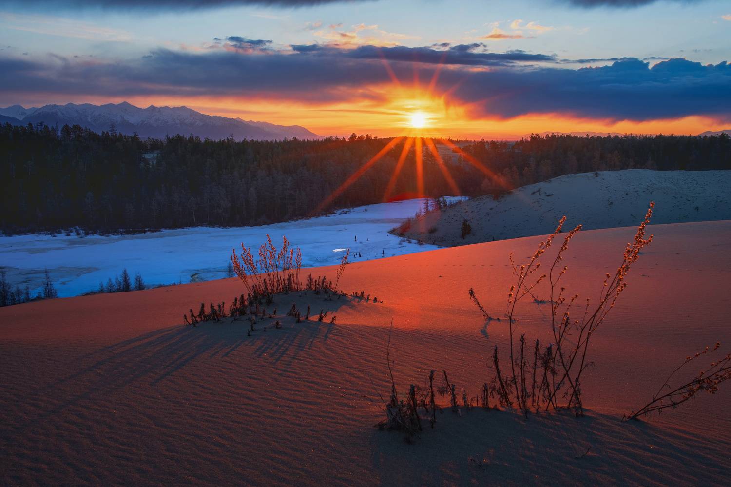 , Алексей Кретов