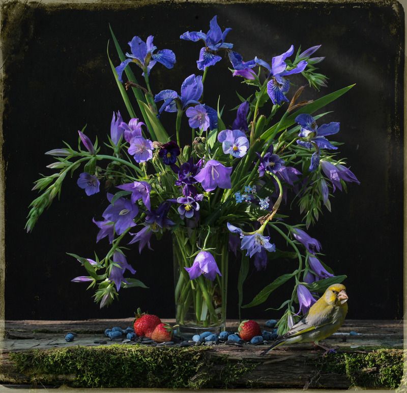 Красные против сине-зелёныхphoto preview