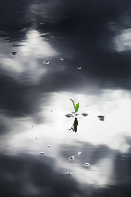 Настроение-лето…photo preview