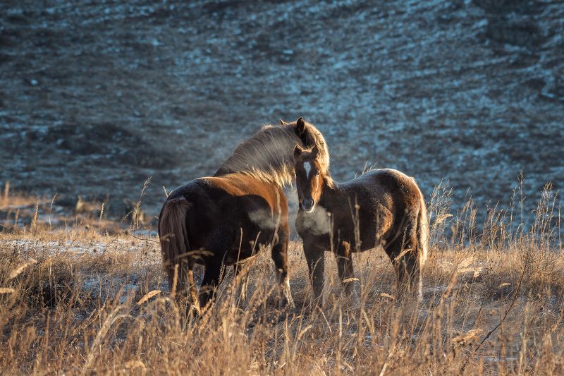 Дыхание осениphoto preview