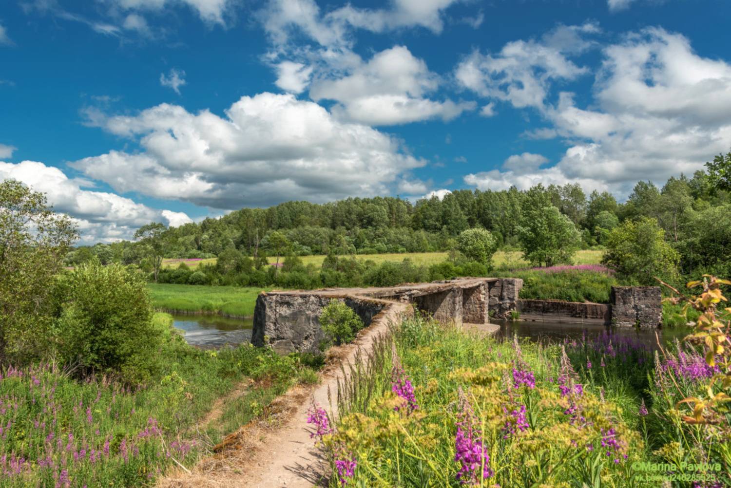 пейзаж, природа, лето, река вруда, устьевская гэс, ленинградская область, волосовский район, родные просторы, Павлова Марина