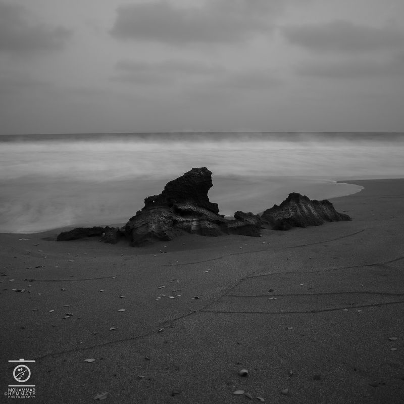 Leafs near the cliffphoto preview