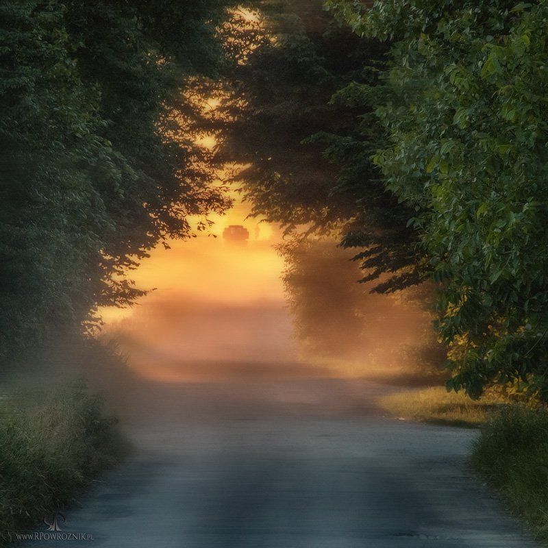 rpowroznik, sunset, landscape, scenery, light sunset...photo preview