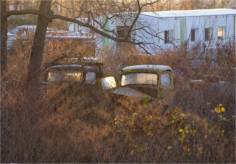 Autumn Autopartsphoto preview