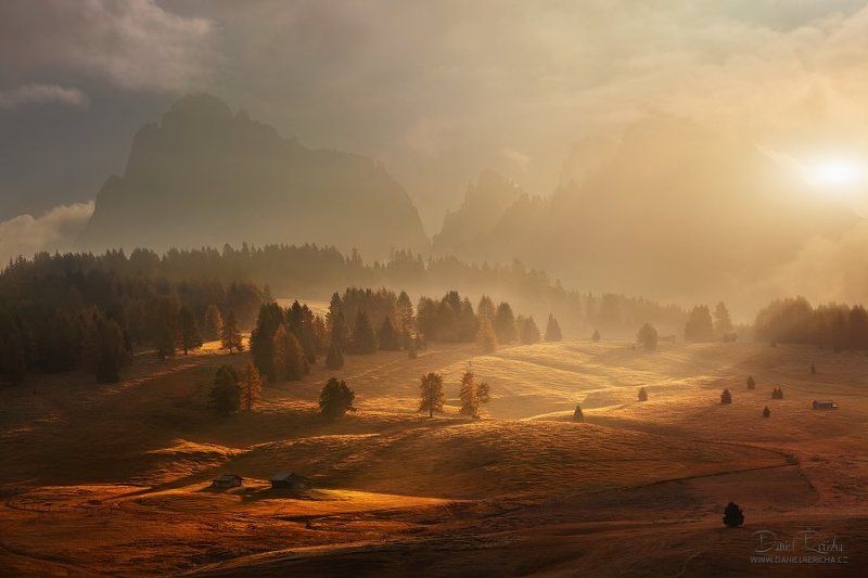 Alpe di siusi, Alps, Alta Badia, Autumn, Autumn colors, Clouds, Dolomites, Fog, Mist, Morning, Morning colors, Morning light, Mountains, Roks, Saiser Alm, Sassolungo, Sky, Sun\'s rays, Sunrise, Trees Morning on alpine meadowphoto preview