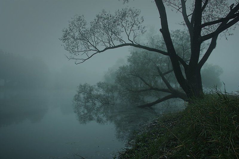 Сумракphoto preview