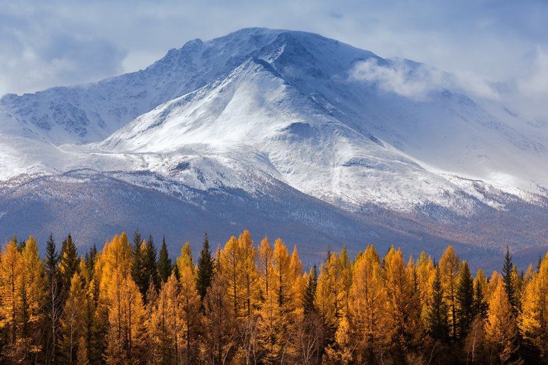 алтай, южно-чуйский перевал Люблю я недоступности вершинphoto preview