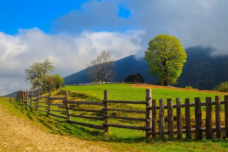 Карпаты, горы, зелень, весна, украина Карпатскиеphoto preview