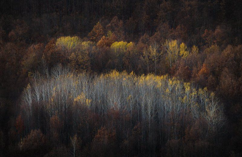 Островокphoto preview