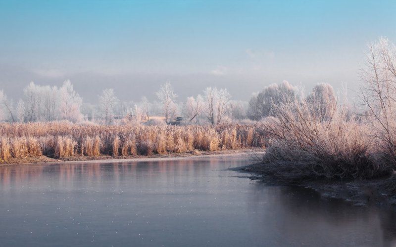 Ноябрьphoto preview