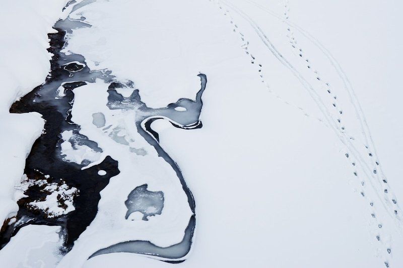 профиль, лицо, снег, зима, абстракция Профиль зимыphoto preview