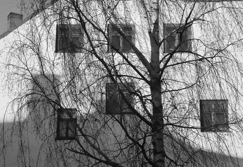 городской этюдphoto preview