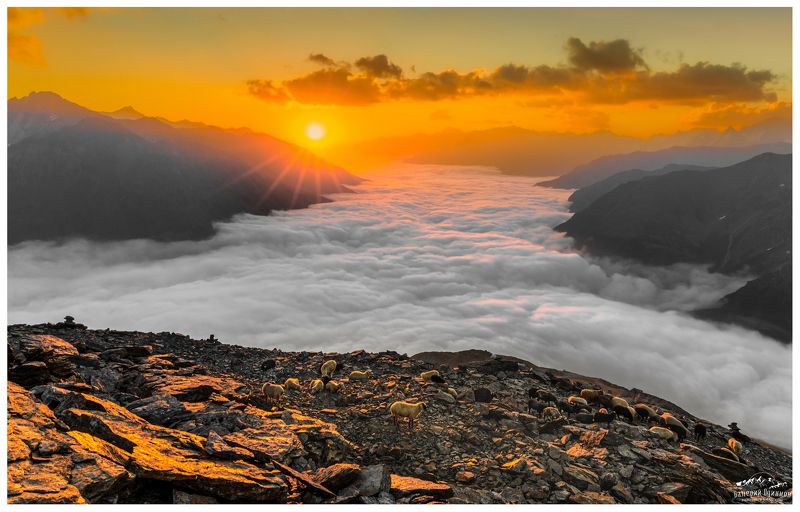 Небесные барашкиphoto preview