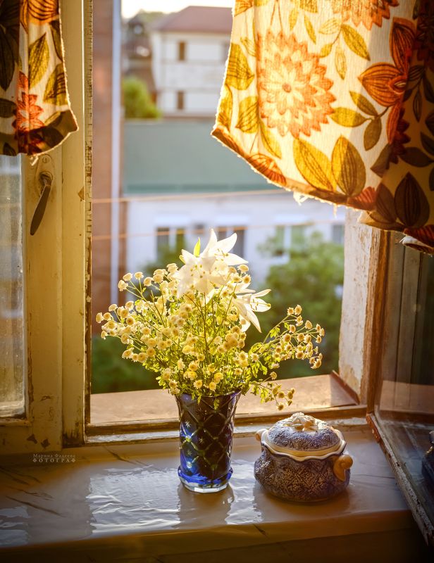 натюрморт, цветы, лето, закат Жизнь старого окошкаphoto preview