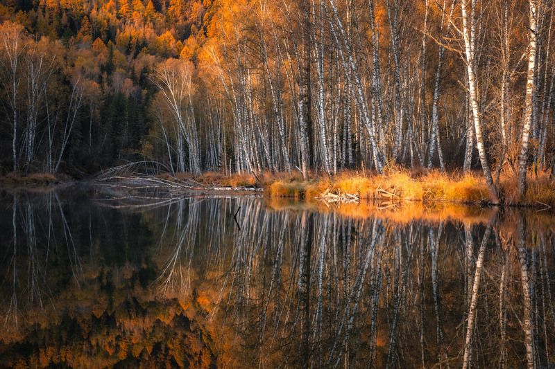 altay, lake, mirror, water, landscape, autumn, trees, outdoor ***photo preview