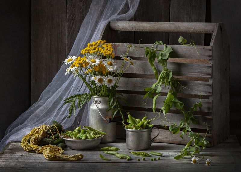 Горох поспелphoto preview