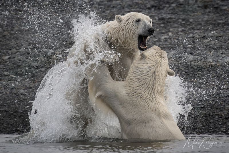Martial Arts Trainingphoto preview