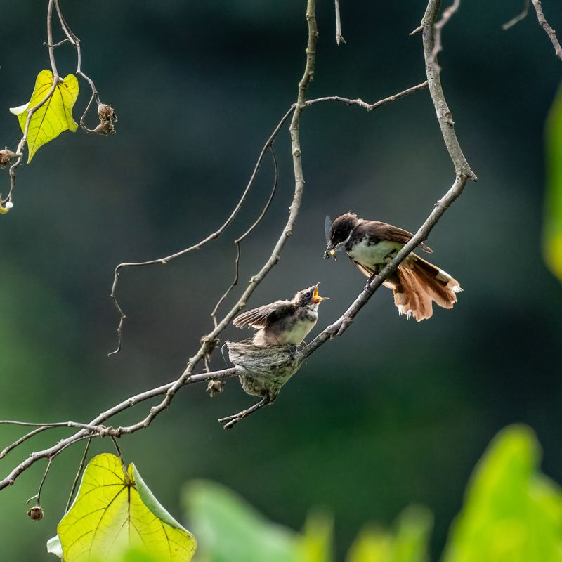 Unconditional Love photo preview