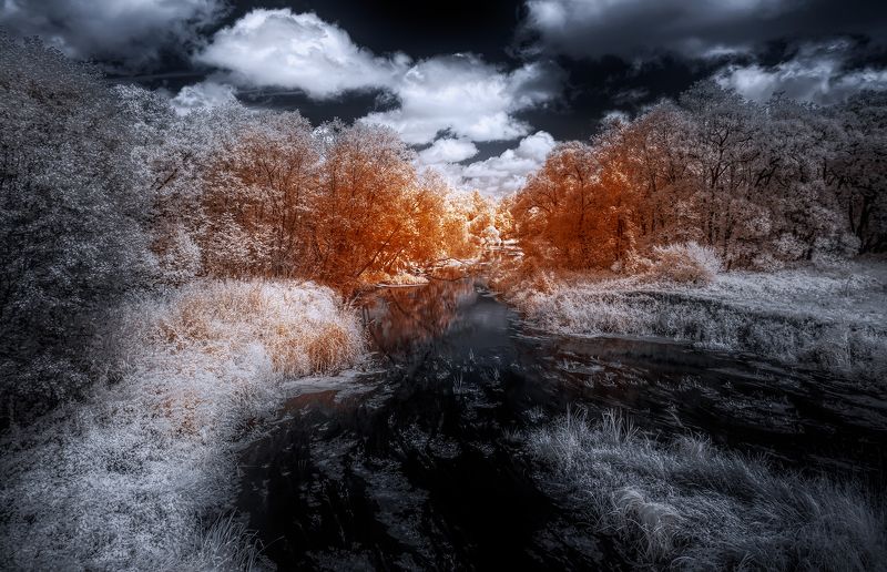 infrared,ик-фото,инфракрасное фото, инфракрасная фотография, пейзаж, лето В контрастах жаркого дняphoto preview