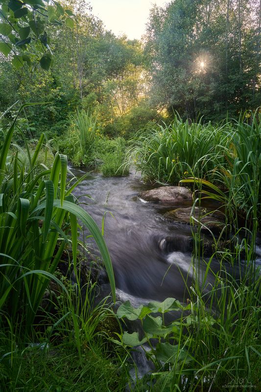 Вечер у бурной рекиphoto preview
