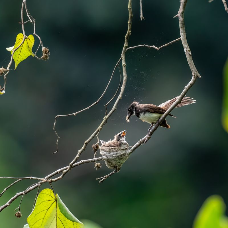 Unconditional Love photo preview