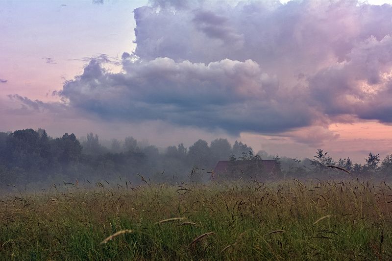 перед грозойphoto preview