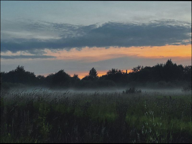 туман, утро, туманное утро, лето, пейзаж Утроphoto preview