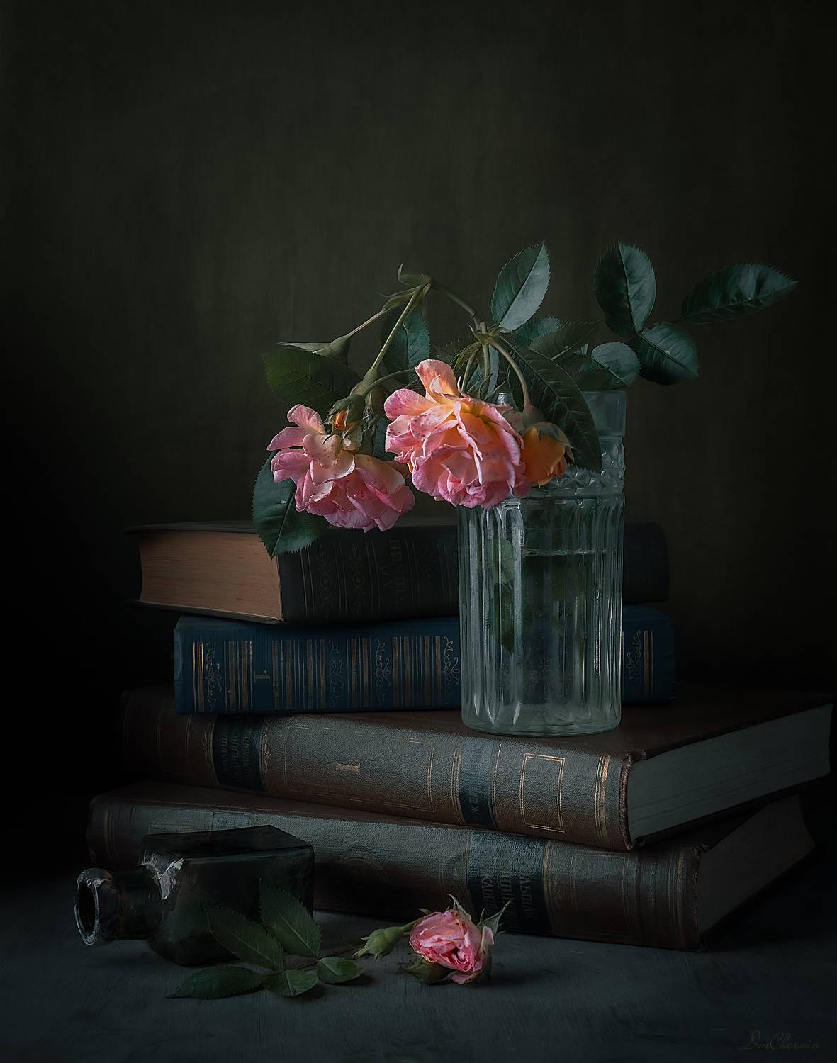 , Чернин Дмитрий