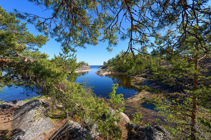 #карелия Карелияphoto preview