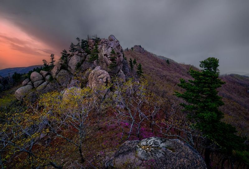 Пробуждениеphoto preview