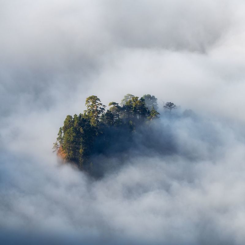 Above the cloudsphoto preview