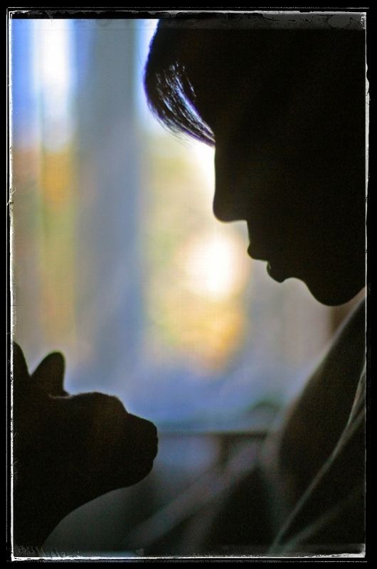 Разговор на закатеphoto preview