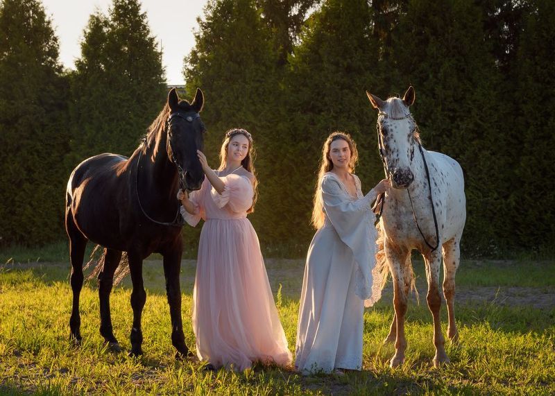 лошади, кони, девушки Юные леди в конно-спортивном клубеphoto preview