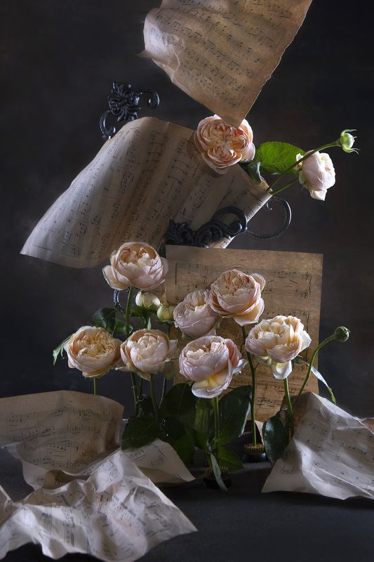 Творческий переполохphoto preview