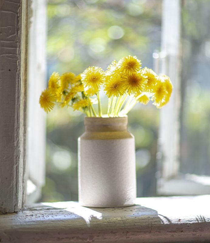 В июнеphoto preview